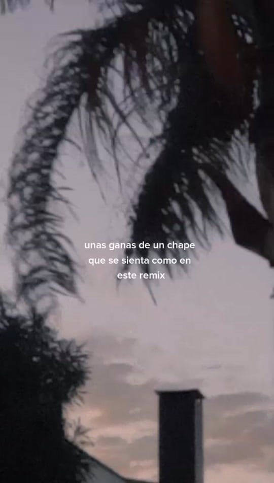Post 8 by papitas on TikTok (video)