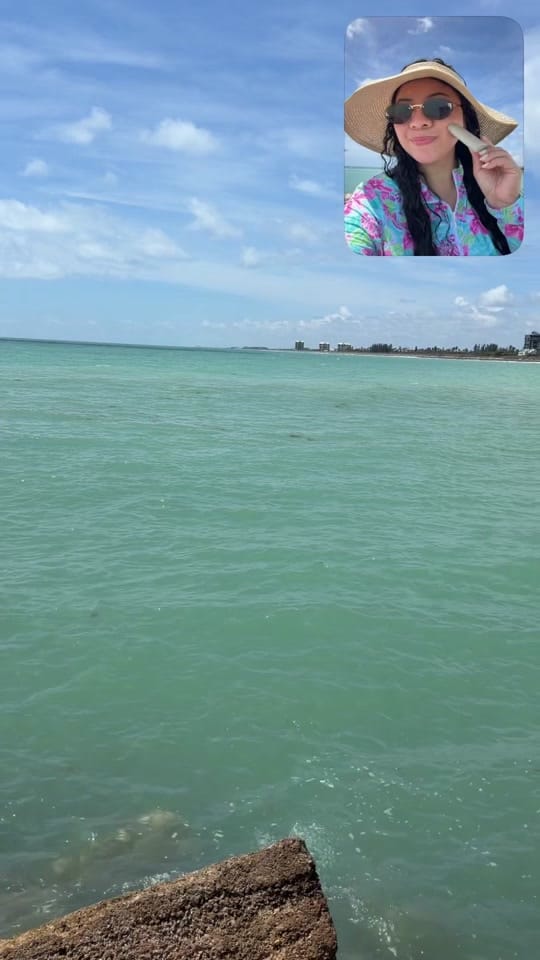 Post 5 by Anna Segovia 🦢✨ on TikTok (video)