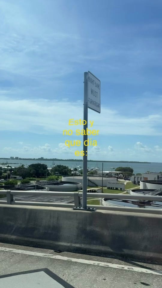 Post 6 by Anna Segovia 🦢✨ on TikTok (video)