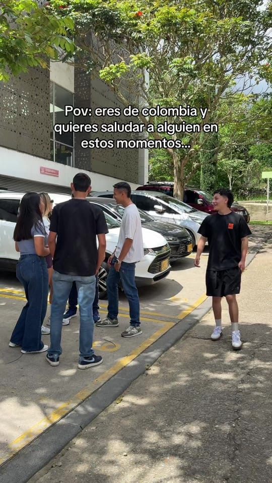 Post 4 by Parchado🦁 on TikTok (video)