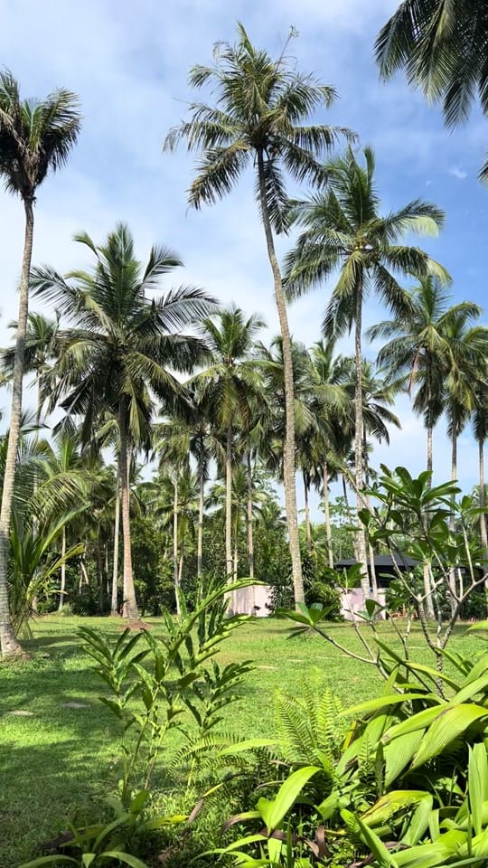 Post 4 by JESSICA on TikTok (video)