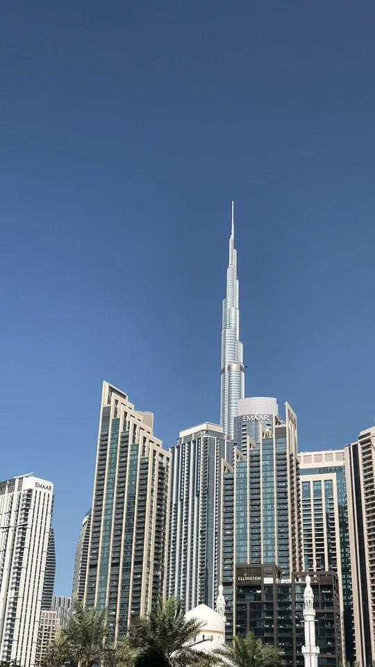 Post 8 by zi® on TikTok (video)