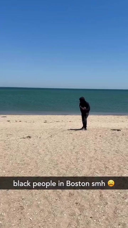Post 5 by Harvardseye on TikTok (video)