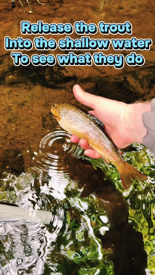 Post 7 by The Born Again Fisherman ✝️ on TikTok (video)