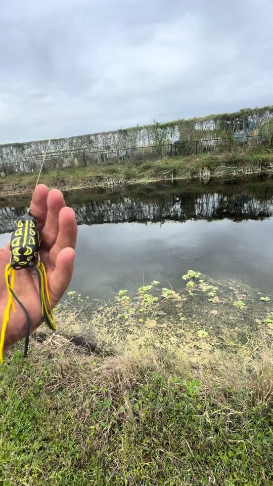 Post 9 by Outdoor Joe on TikTok (video)