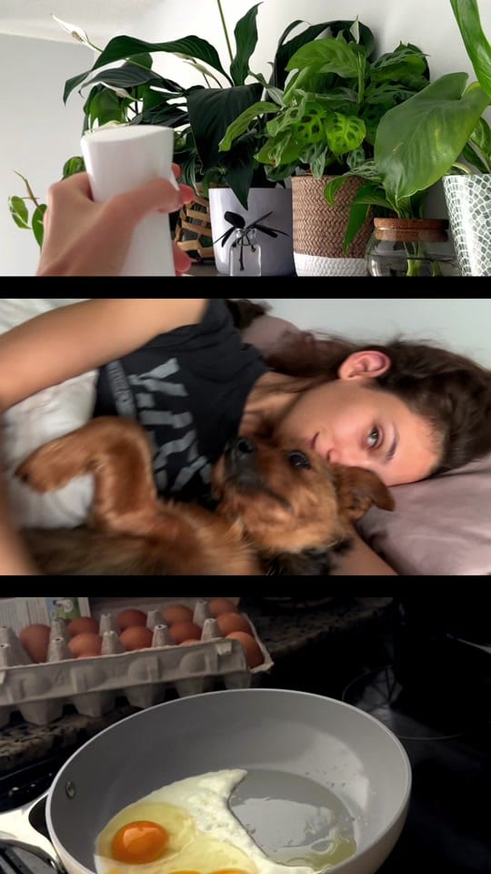Post 1 by valeri_almanskaya on TikTok (video)