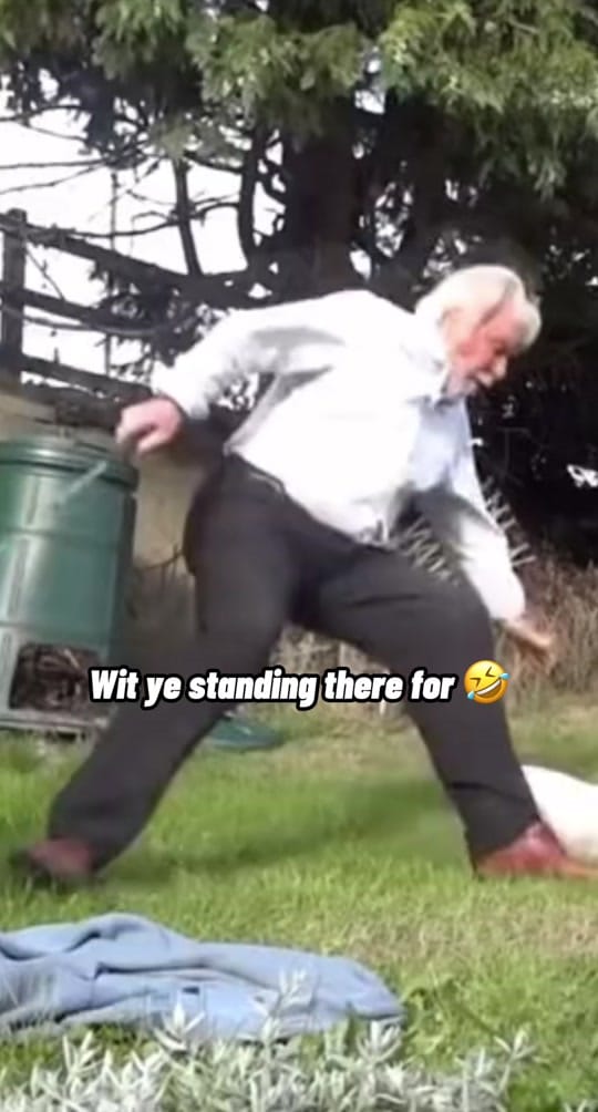 Post 10 by Scottish Social on TikTok (video)