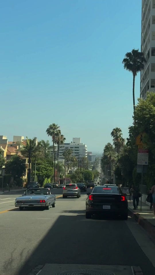 Post 4 by madelineclaireedwards on TikTok (video)