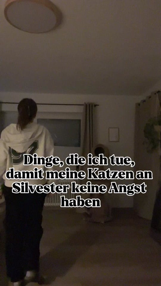 Post 9 by SICHTBAR FREI on TikTok (video)