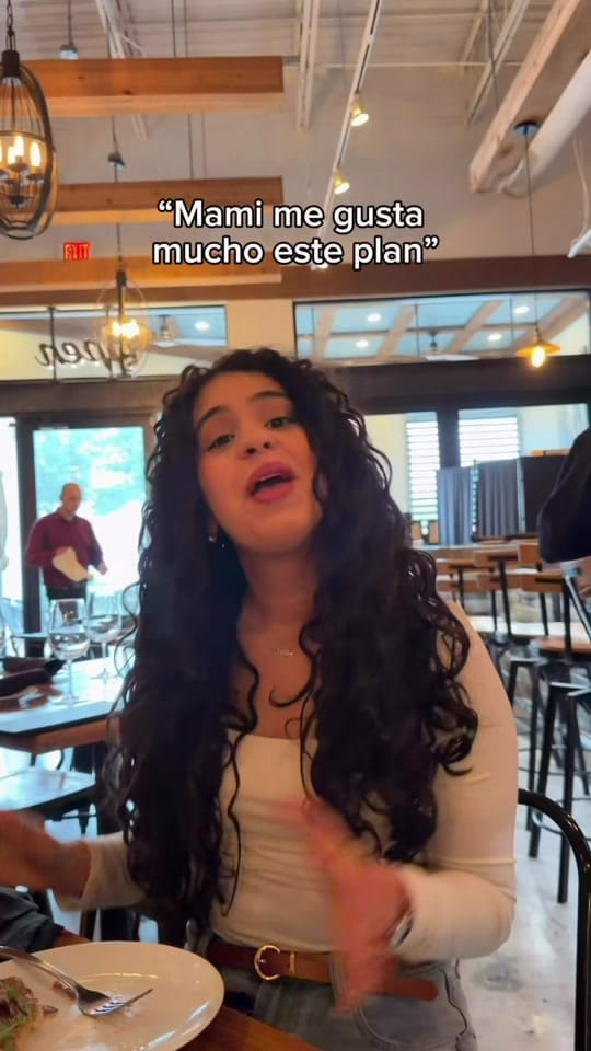 Post 4 by ana roque on TikTok (video)