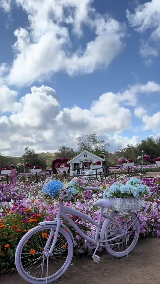 Post 3 by DirectorioCalibaja on TikTok (video)