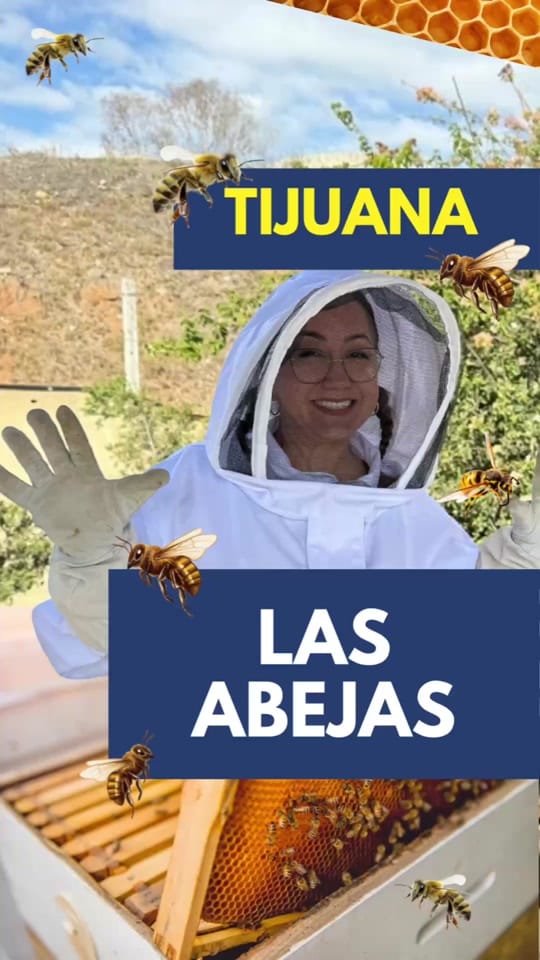 Post 9 by DirectorioCalibaja on TikTok (video)