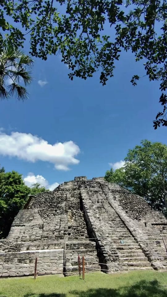 Post 5 by waxingbyroxy on TikTok (video)