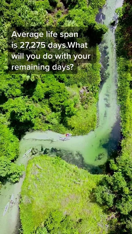Post 7 by underwaterflorida on TikTok (video)