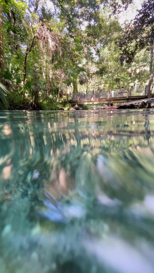 Post 3 by underwaterflorida on TikTok (video)