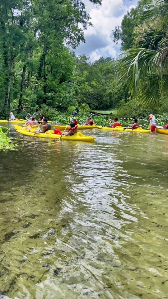 Post 2 by underwaterflorida on TikTok (video)