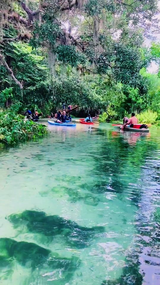 Post 10 by underwaterflorida on TikTok (video)