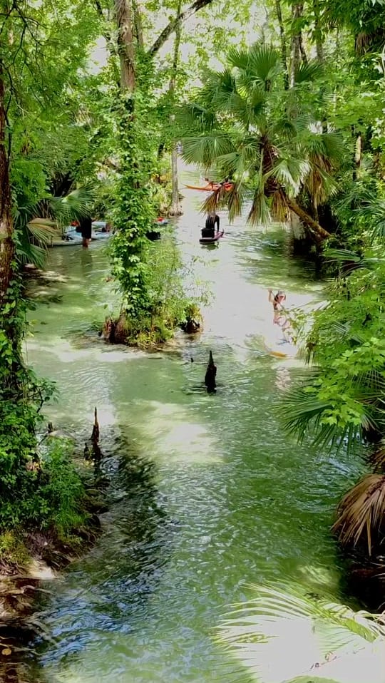 Post 4 by underwaterflorida on TikTok (video)