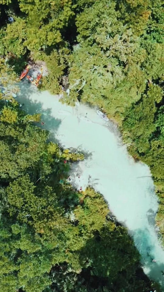 Post 8 by underwaterflorida on TikTok (video)