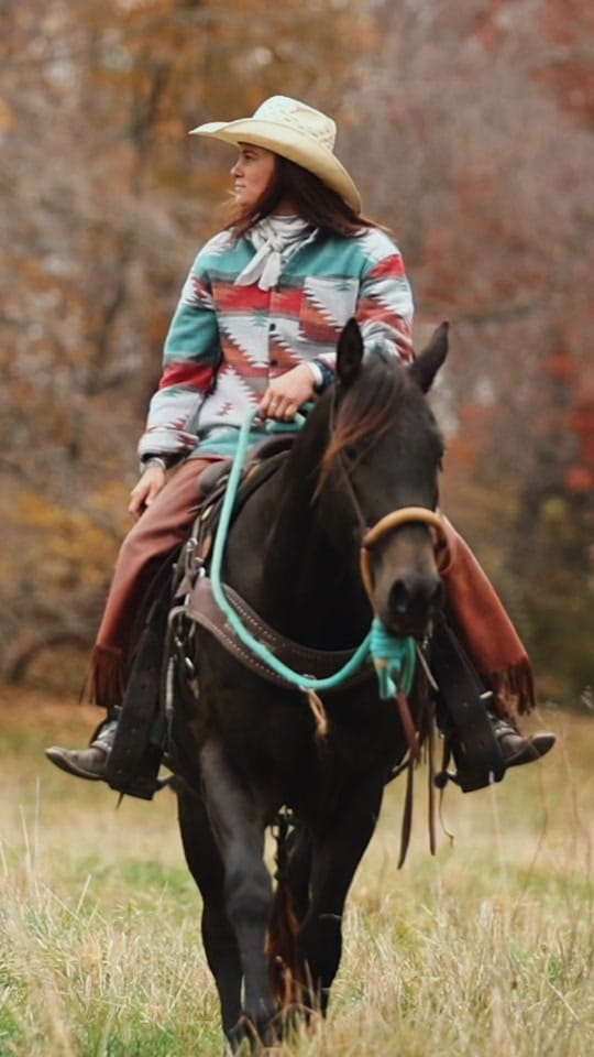 Post 8 by Rachel ⚡️ Equine Photographer on TikTok (video)