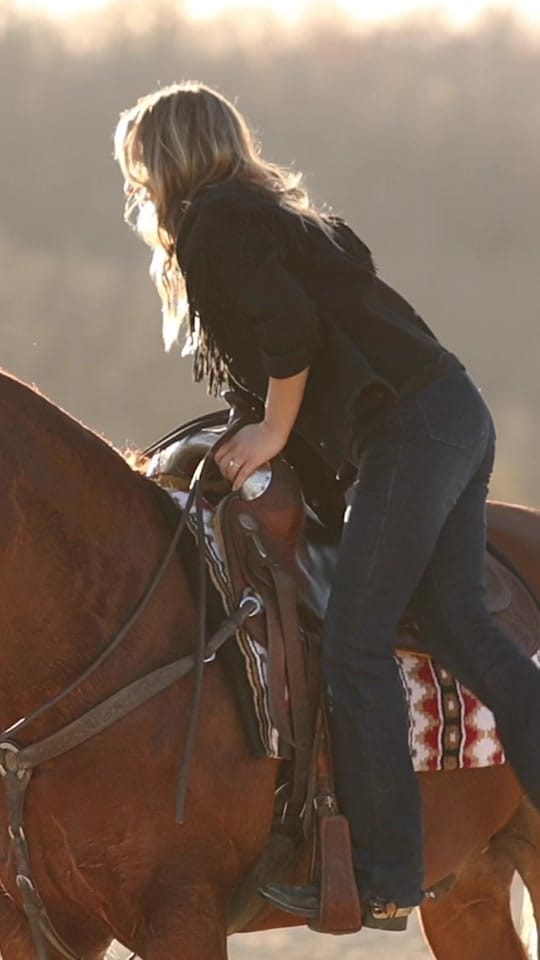 Post 6 by Rachel ⚡️ Equine Photographer on TikTok (video)