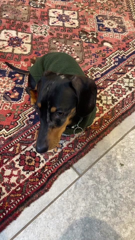 Post 3 by Joanna on TikTok (video)