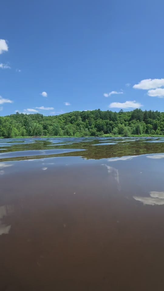 Post 5 by Lilly Desrosier on TikTok (video)