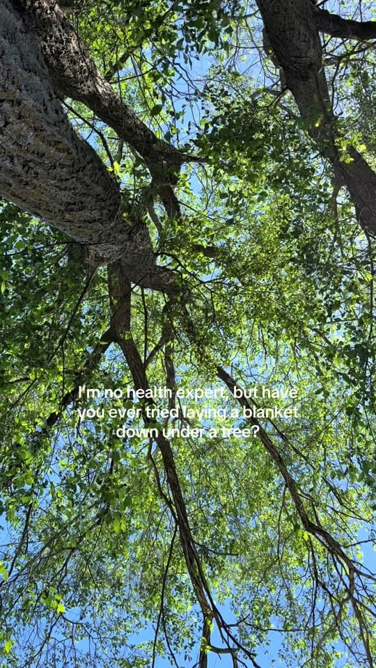 Post 3 by Lilly Desrosier on TikTok (video)