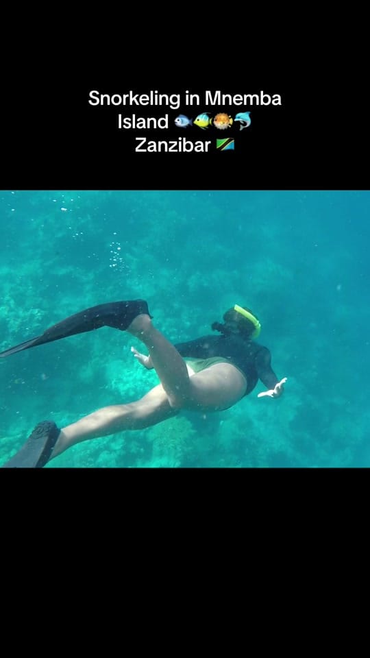 Post 1 by Ingrid Madrigal on TikTok (video)