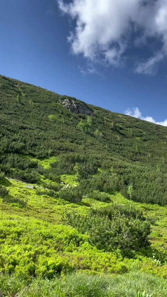 Post 5 by Ingrid Madrigal on TikTok (video)