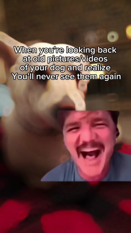 Post 4 by TheBGalaviz on TikTok (video)