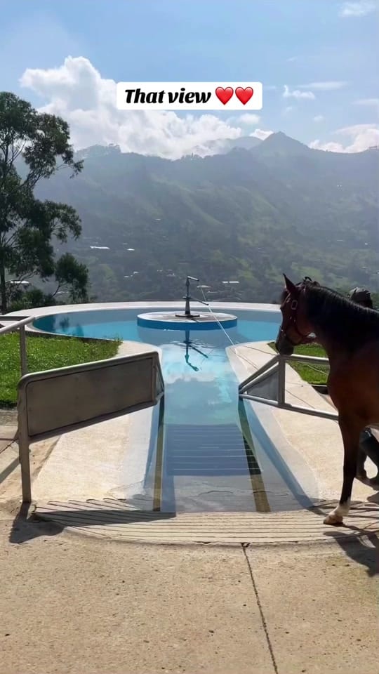 Post 9 by jojospellman on TikTok (video)