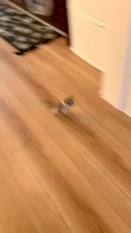 Post 3 by jojospellman on TikTok (video)