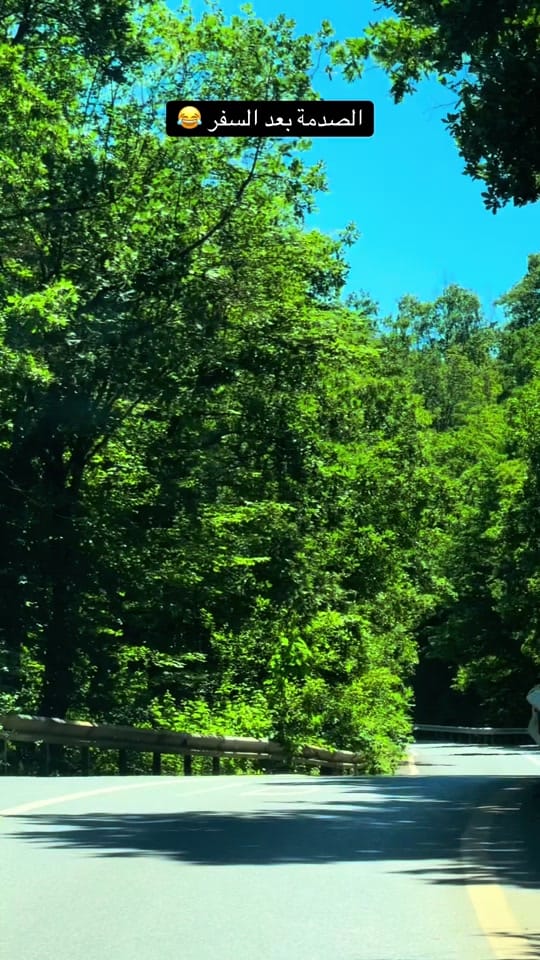 Post 1 by احمد كعابنة🇵🇸 on TikTok (video)
