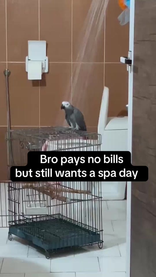 Post 3 by VisualsByBDOT on TikTok (video)
