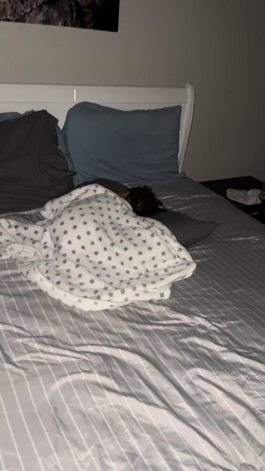 Post 5 by Maria Oliveira UGC creator on TikTok (video)