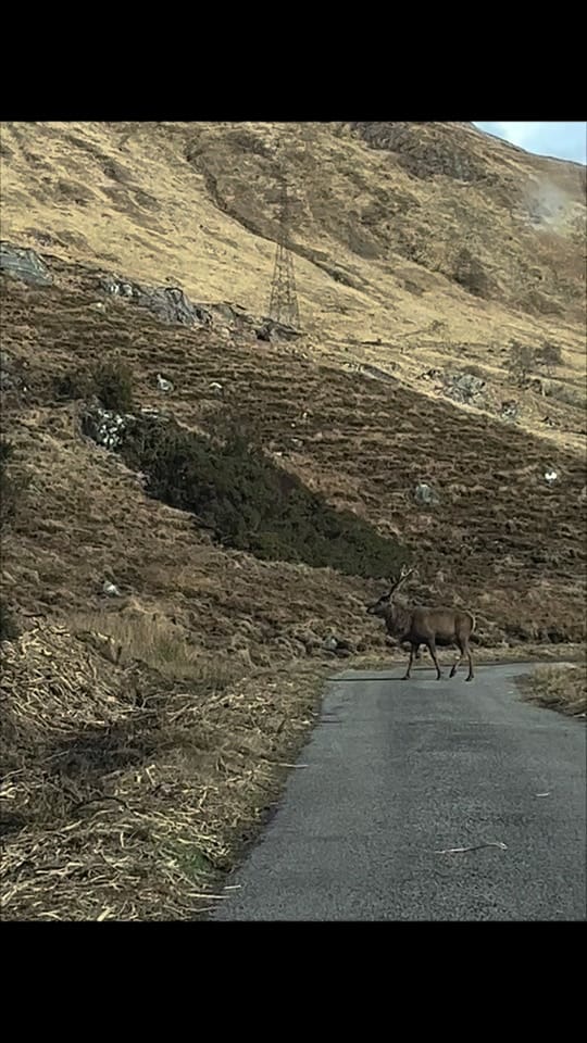 Post 4 by Spectacular Scotland on TikTok (video)
