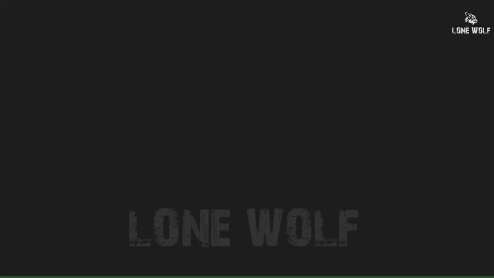 Post 9 by The Adventures of Lone Wolf on TikTok (video)