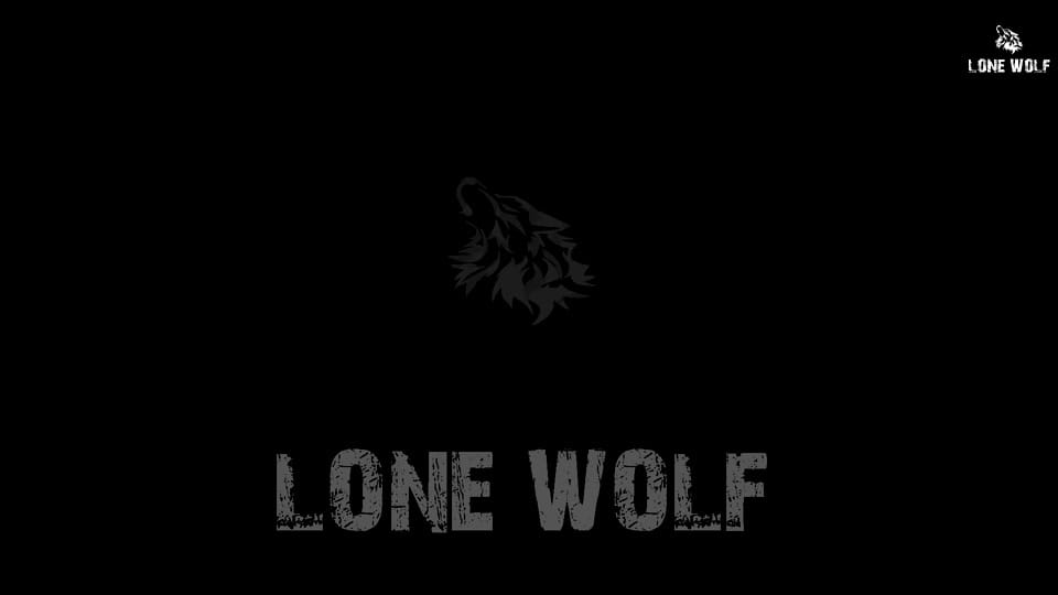Post 10 by The Adventures of Lone Wolf on TikTok (video)