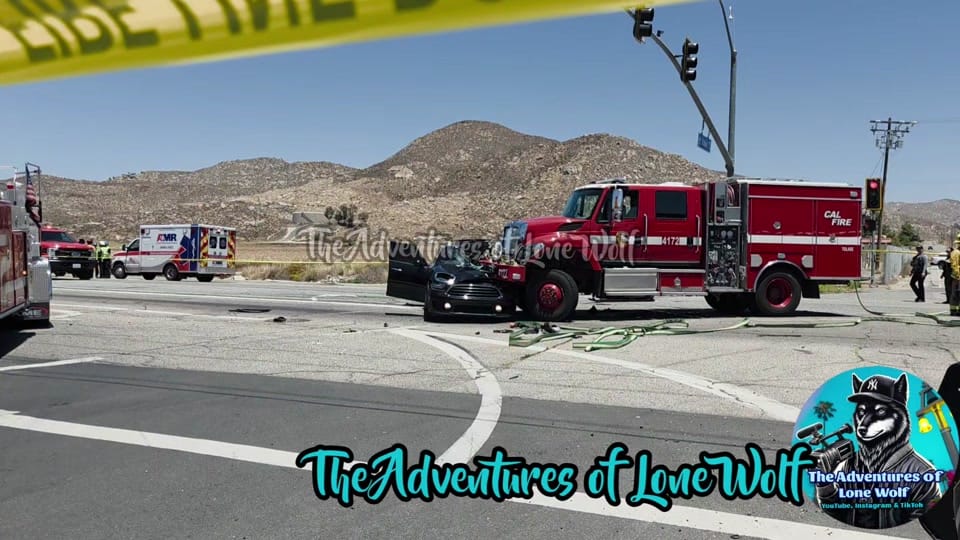 Post 4 by The Adventures of Lone Wolf on TikTok (video)