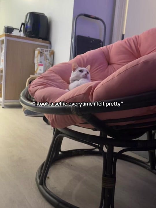 Post 9 by Don’tpooinmypool20 on TikTok (video)