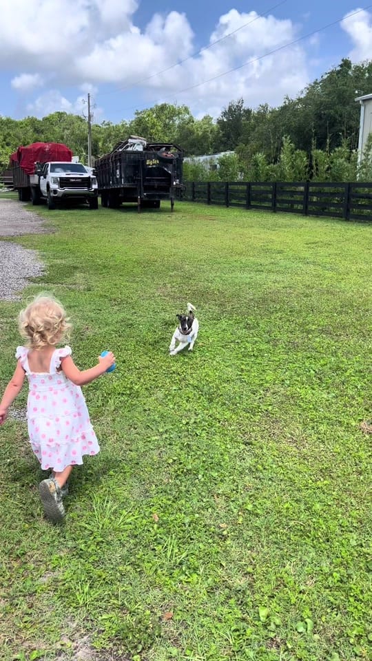 Post 4 by Aleah Bolenbaugh on TikTok (video)