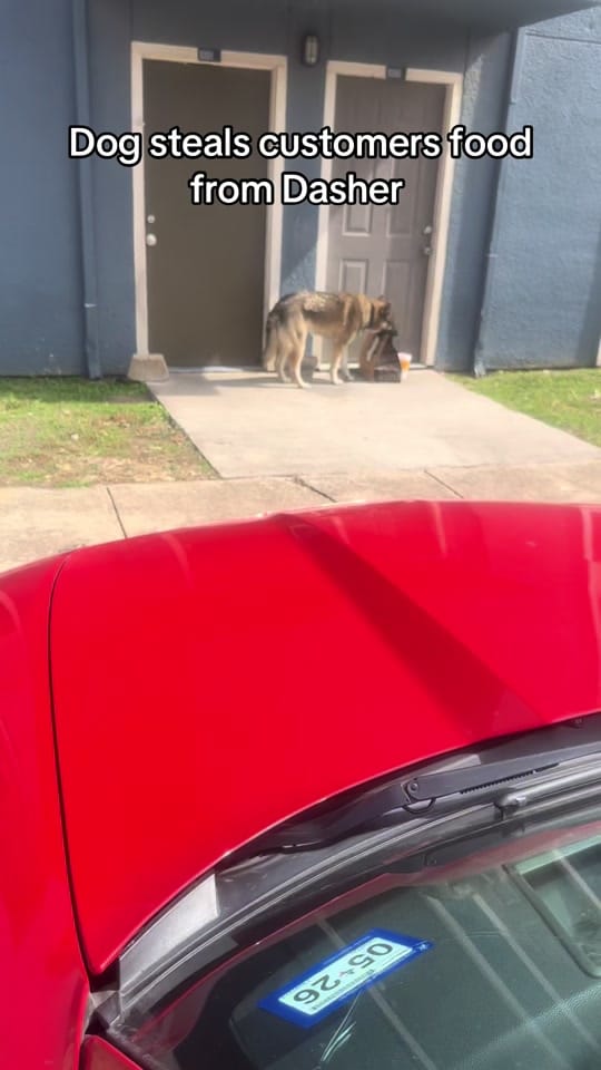 Post 6 by JD on TikTok (video)