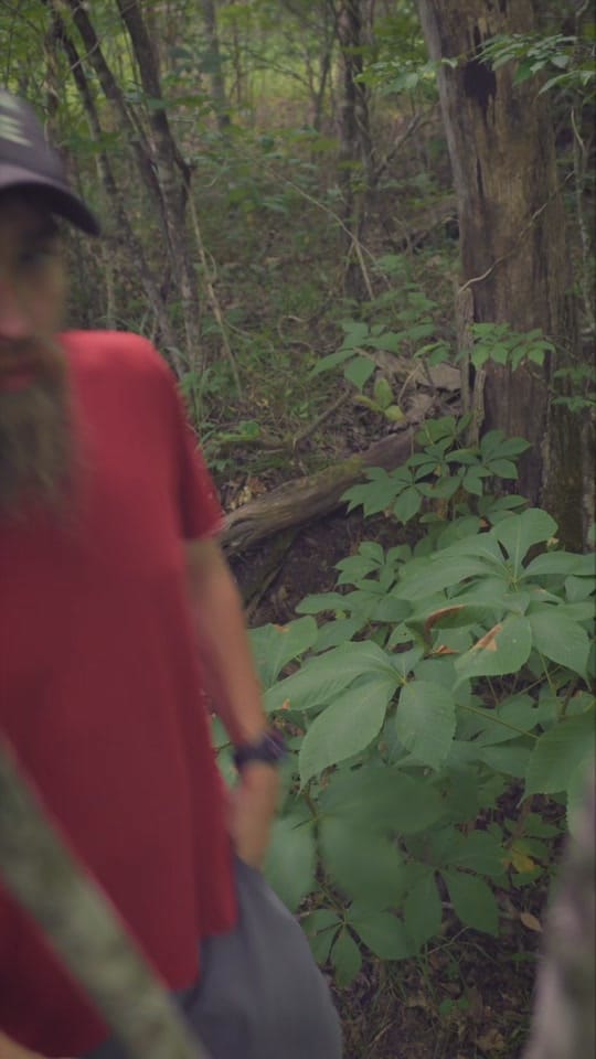 Post 4 by Off Grid Austin on TikTok (video)