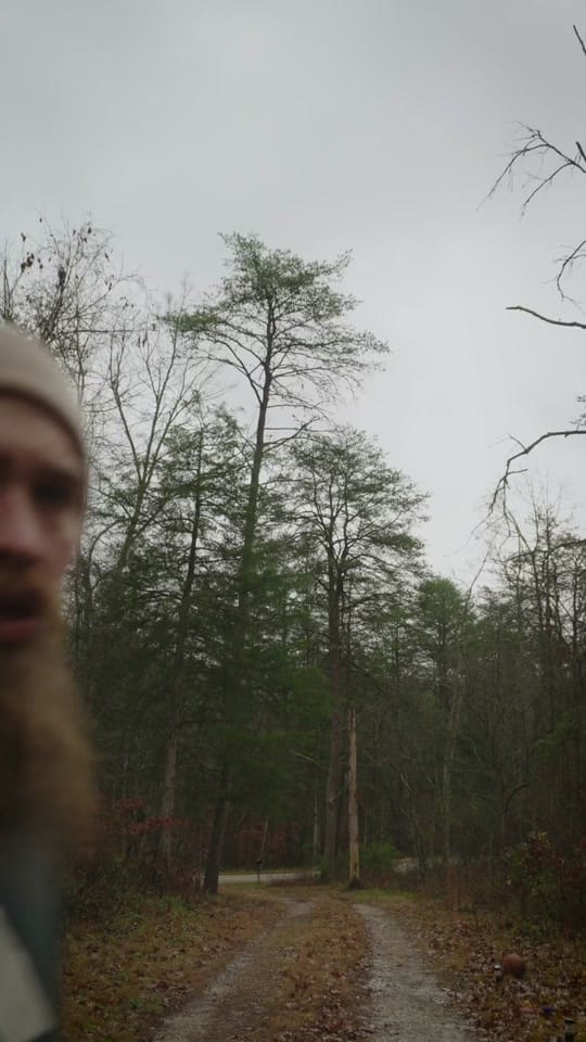 Post 9 by Off Grid Austin on TikTok (video)