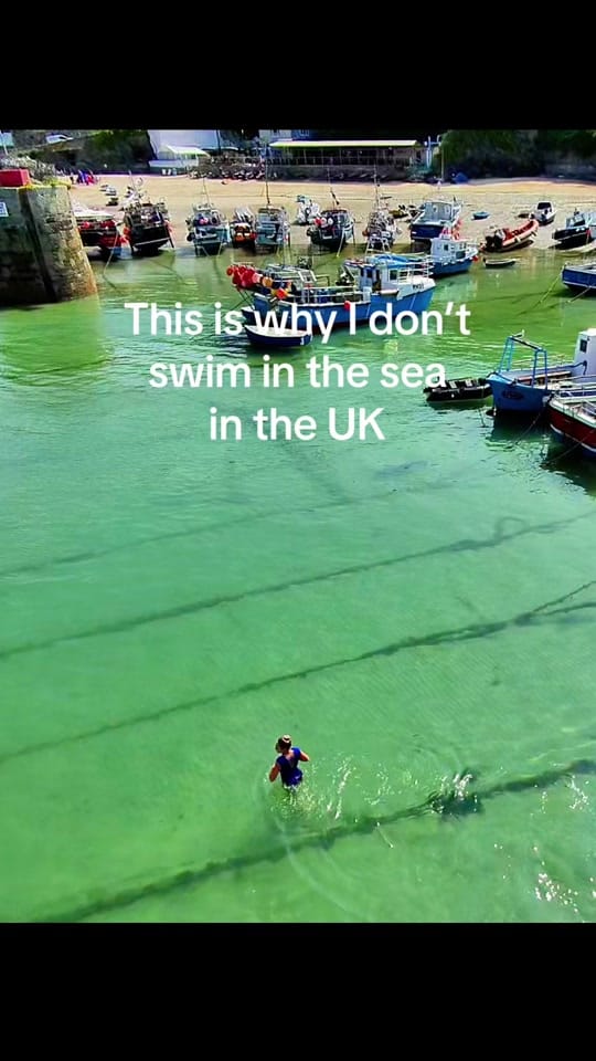 Post 10 by cornish.diaries on TikTok (video)