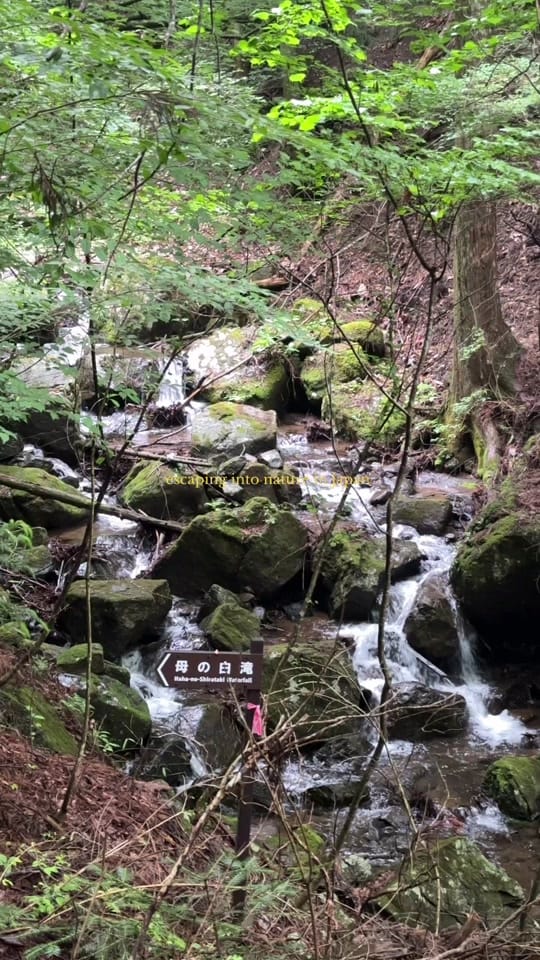 Post 1 by laauraliving on TikTok (video)