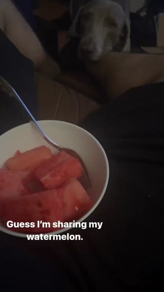 Post 1 by Franz on TikTok (video)