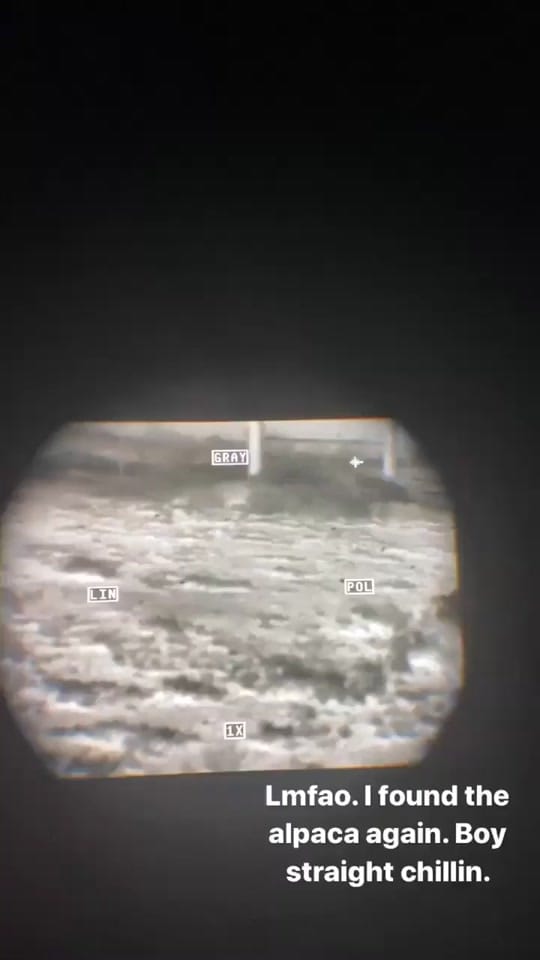 Post 8 by Franz on TikTok (video)
