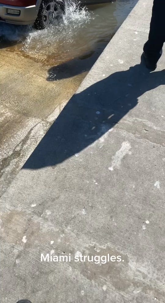 Post 3 by Franz on TikTok (video)